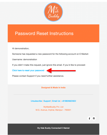 Password Reset Email Large