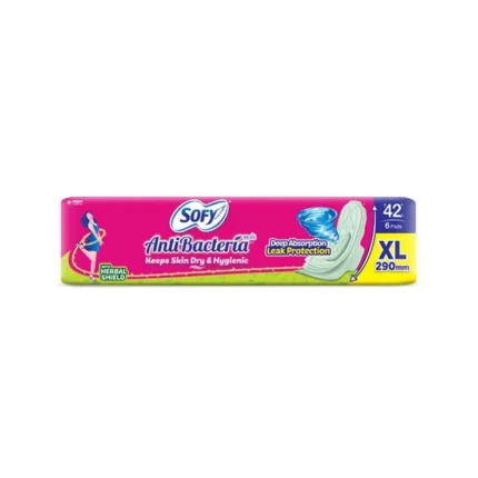 Sofy Antibacteria keeps skin dry & Hygienic 6 pads